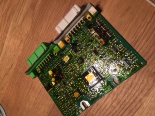image1.jpeg