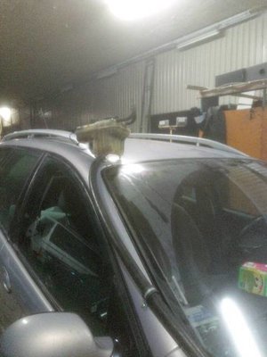 img20190210_174240.jpg