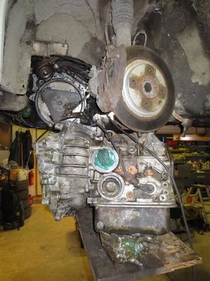IMG_3886 (Copy).JPG