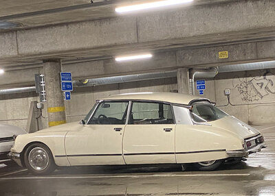 DS